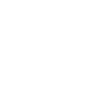 icon facebook